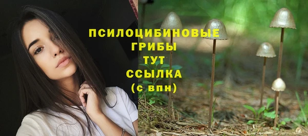 кокаин Карпинск
