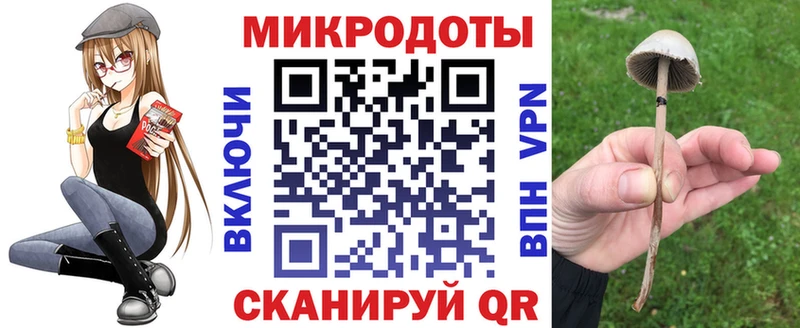 Псилоцибиновые грибы Psilocybe  Купить где  Когалым 